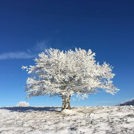 Western Le Relais De & Ξενοδοχείο
