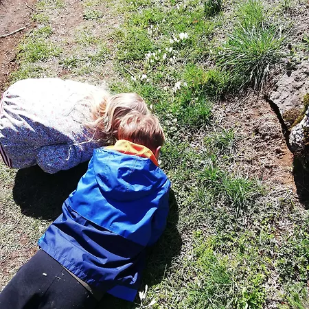 Hotel Western Le Relais De & 3*