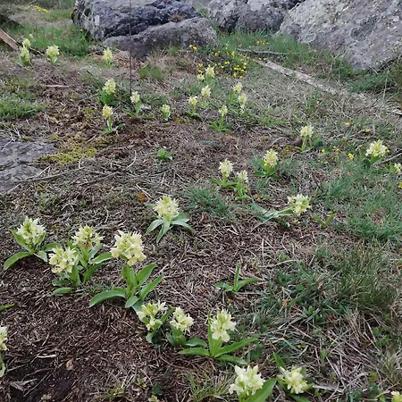 Western Le Relais De &